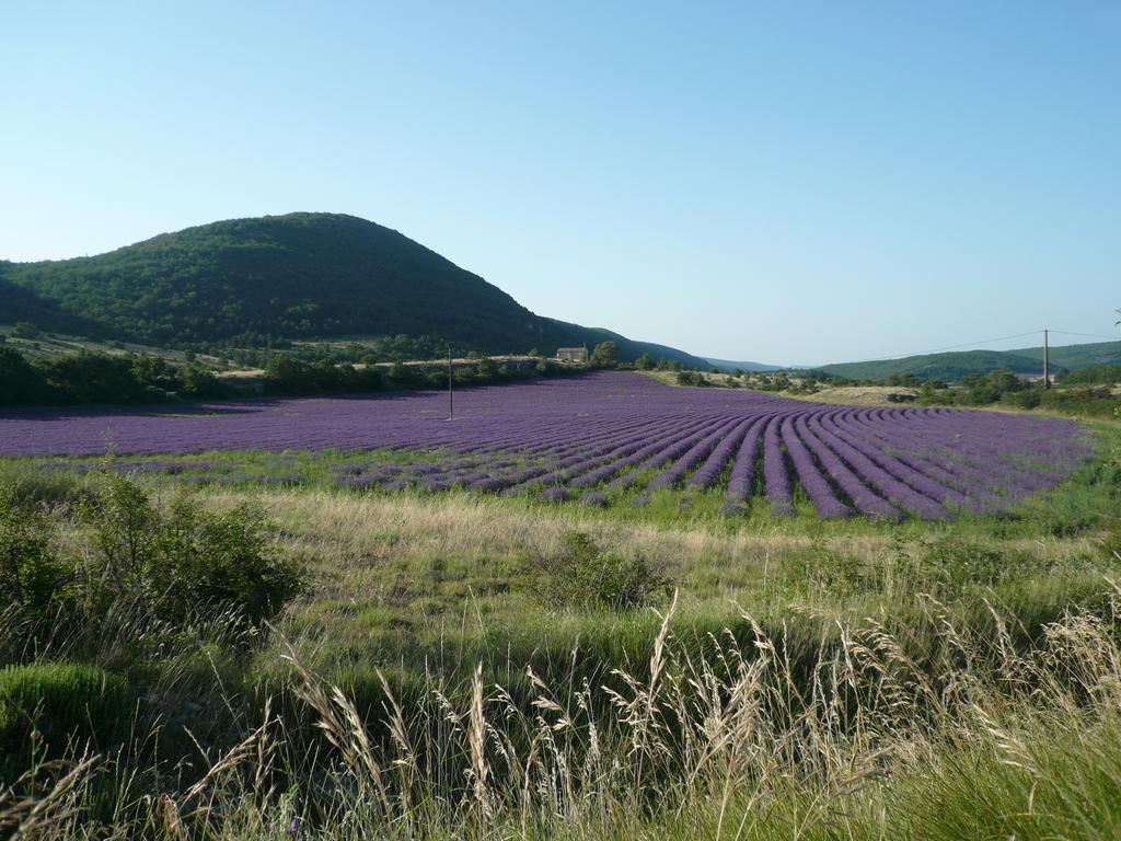 La Grange De La Lavande Lardiers Екстер'єр фото